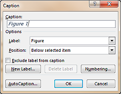 Caption dialog box