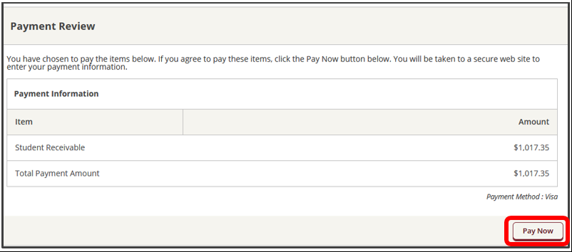 pay now button