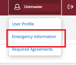 Picture of Self-Service Emergency Information tab