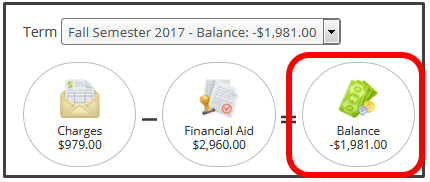 Screenshot of Balance Icons in Self Service